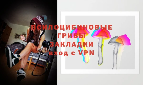 дмт Балахна