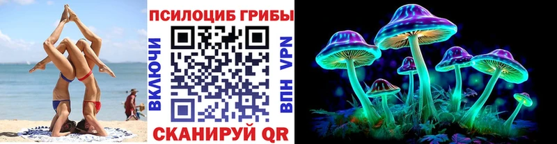 Псилоцибиновые грибы Cubensis  Белогорск 