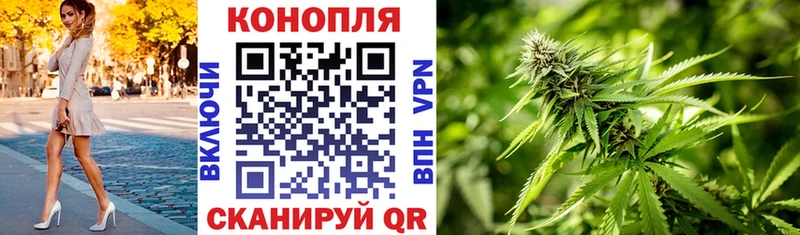 Бошки Шишки VHQ  купить  цена  Белогорск 